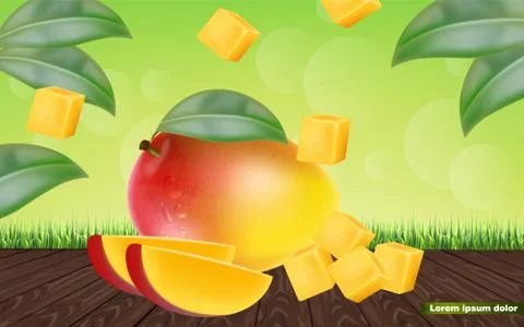 Mango fruit sliced Vector realistic. Detailed elements design. 3d illustratio 스톡 일러스트