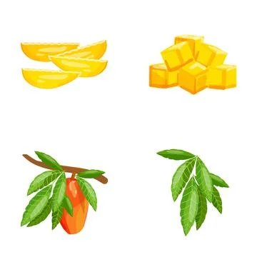 Mango fruit slices cubes and tree branch Stock Illustration