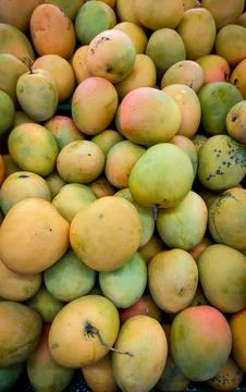 Mango fruit in supermarket 스톡 사진
