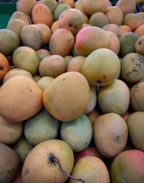 Mango fruit in supermarket Stock Photos