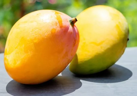Mango fruit on a table in direct sunlight Stock Photos