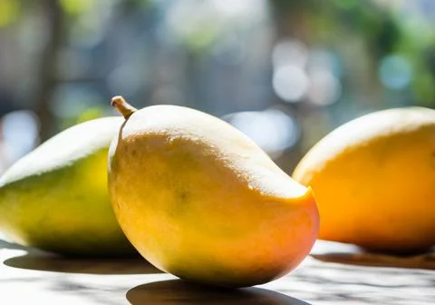 Mango fruit on a table in direct sunlight Stock Photos