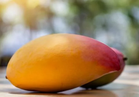 Mango fruit on a table in direct sunlight Stock Photos