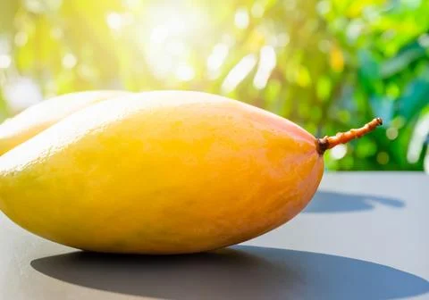 Mango fruit on a table in direct sunlight Stock Photos