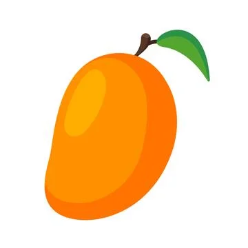 Mango fruit vector. Vector illustration. Mango in flat style. Stock Illustration
