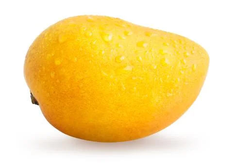 Mango fruit with water drops isolated Stock Photos