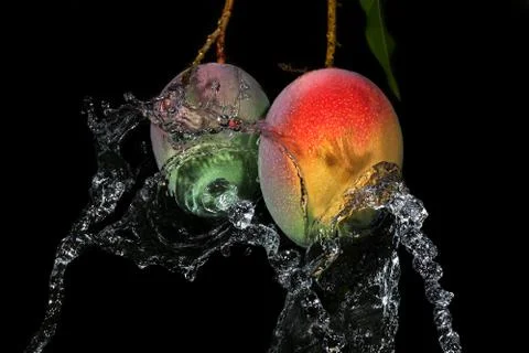Mango fruit in water splash Foto stock
