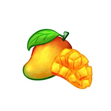 Mango fruit watercolor  Stock Illustration