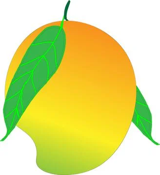 Mango fruit  with white background  Illustration Illustrazione stock