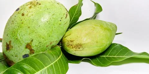Mango fruit white background Stock Photos