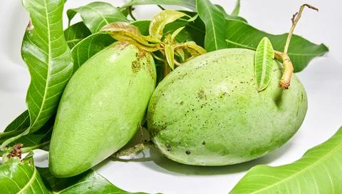 Mango fruit white background Stock Photos