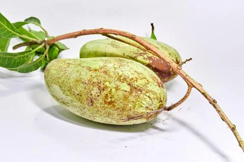 Mango fruit white background Stock Photos