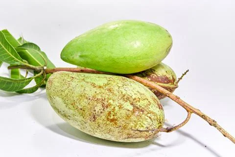 Mango fruit white background Stock Photos