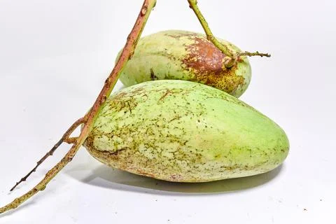 Mango fruit white background Stock Photos