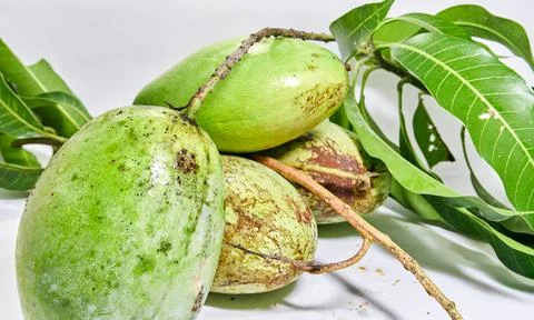 Mango fruit white background Stock Photos