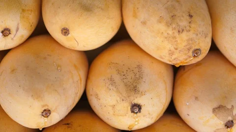 Mango Fruits. Close-Up. Видео 94533140