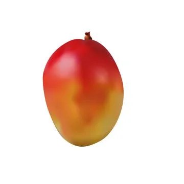 Mango gradient mesh vector element clip art 스톡 일러스트