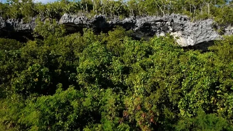 Mango grove and caves on Cayman Island Drone Shots Stock Footage 78769236