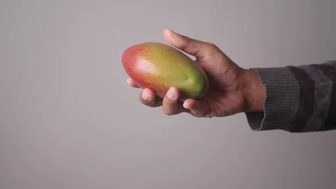 Mango held in hand on plain background Stock Footage 329902445