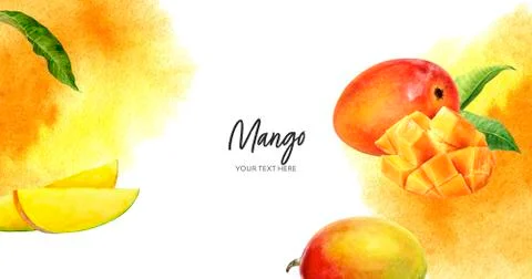 Mango horizontal banner composition watercolor hand drawn illustration with Stock Illustration