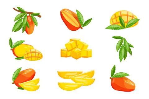 Mango icons set cartoon vector. Mango slices 스톡 일러스트