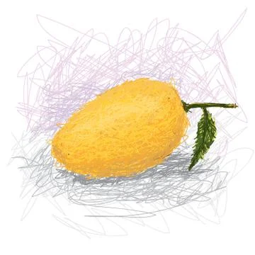 Mango Stock Illustration