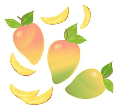 Mango Stock Illustration