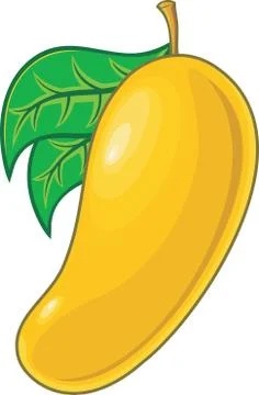 Mango Stock Illustration