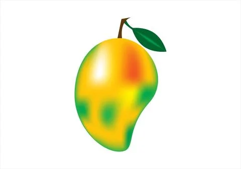 Mango Stock Illustration