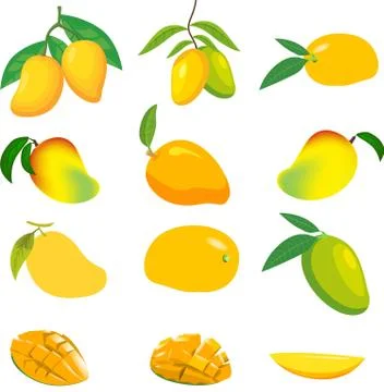 Mango Illustration Fruit Vector Design Stock Image Stock Illustration