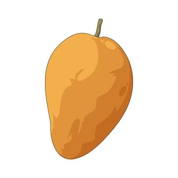 Mango illustration Stock Illustration