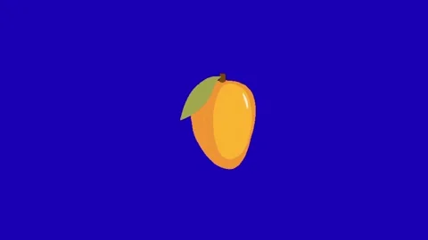Mango illustration tropical fruit vector art Stock Footage 337328360