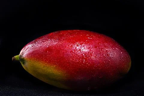 Mango isolated on black background Stock Photos