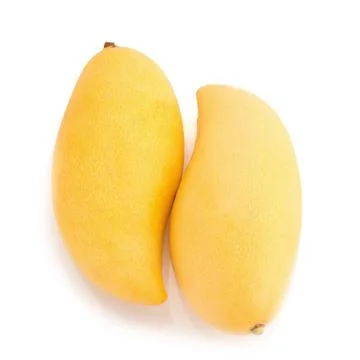 Mango isolated no white background Stock Photos