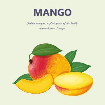 Mango. Isolated objects Illustrazione stock