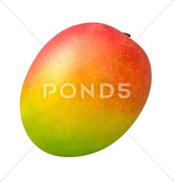 Mango isolated Stock-Fotos