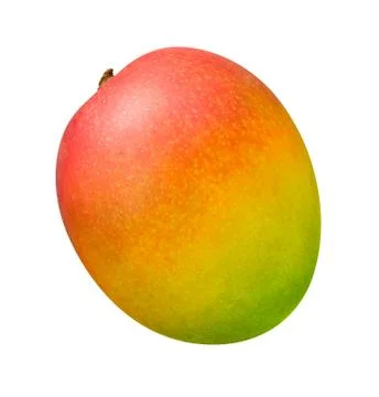 Mango isolated Stock Photos