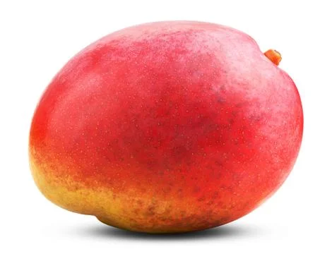 Mango isolated Stock Photos