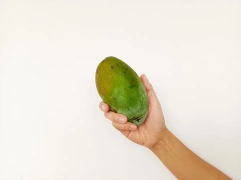 Mango isolated Foto stock