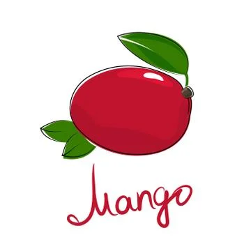 Mango isolated on white background Stock Illustration