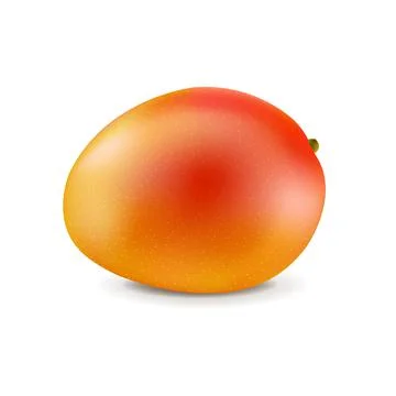 Mango Isolated White Background Illustrazione stock
