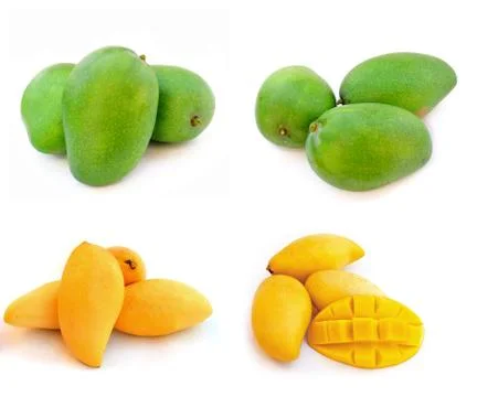 Mango isolated on a white background Stock Photos