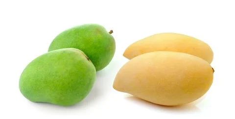 Mango isolated on white background Stock Photos