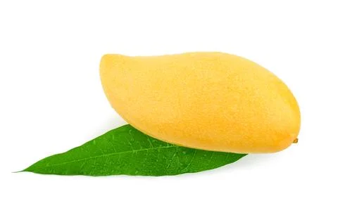 Mango isolated on white background Stock Photos