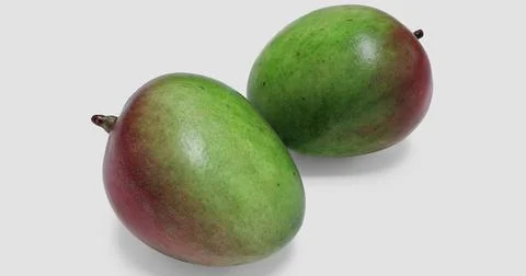 Mango isolated on white background with shadows Stock Photos