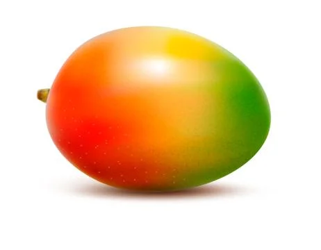 Mango isolated on white. vector illustration Illustrazione stock