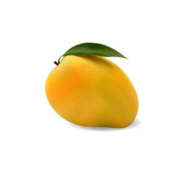 Mango with leaf Stock Illustration