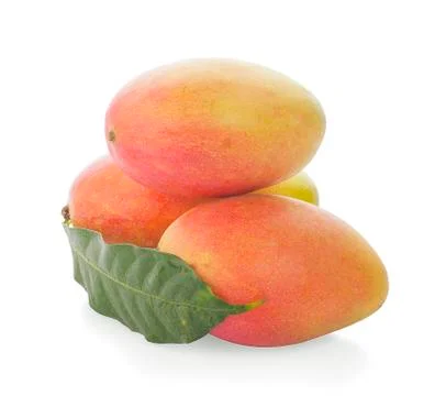 Mango leaf isolated on white background Foto stock