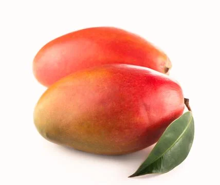 Mango leaf isolated on white background Clipping Path Stock Photos