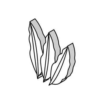 Mango leaf isometric icon vector illustration Stock Illustration